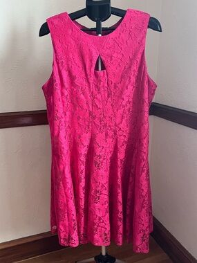 Gabby Skye Pink Lace Dress 16W EUC